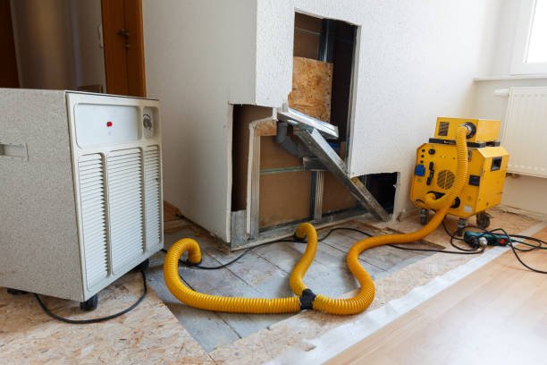 Best Water Damage & Mold Remediation  in Valatie, NY